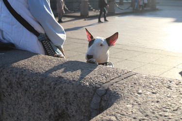 Similar image 21970768