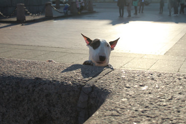 Similar image 21970769