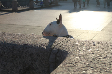 Similar image 21970770