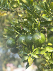 Similar image 21967206