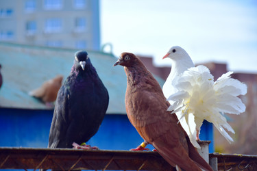 Similar image 21967207