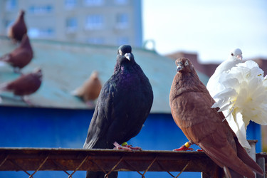 Similar image 21967208