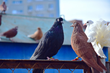 Similar image 21967209