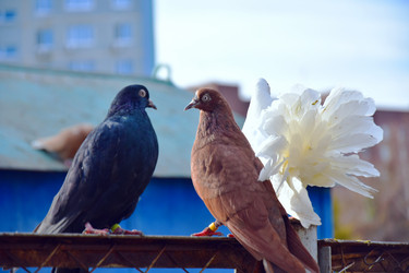 Similar image 21967210