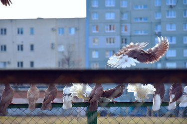 Similar image 21967212