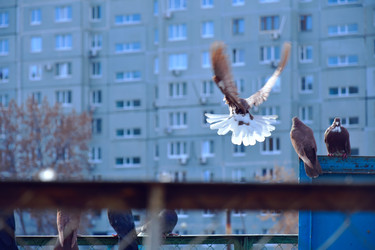 Similar image 21967213