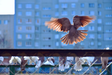 Similar image 21967214