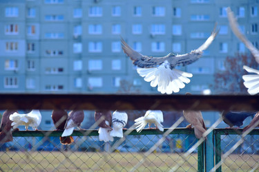 Similar image 21967215