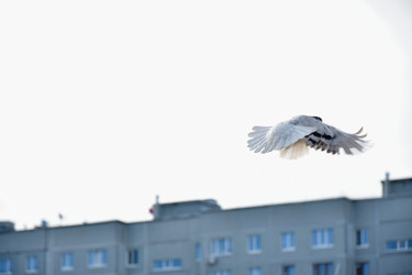 Similar image 21967216