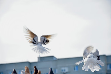 Similar image 21967217