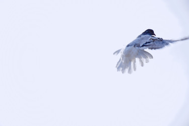 Similar image 21967218