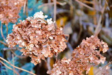 Similar image 21967219