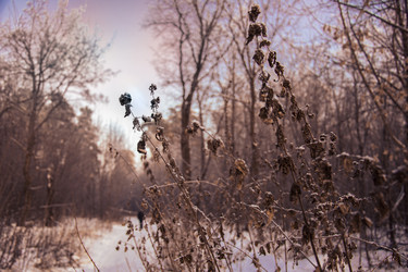 Similar image 21966252