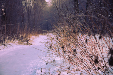 Similar image 21966253