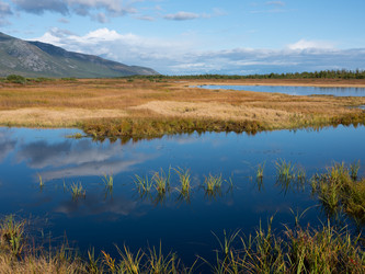 Similar image 21967224