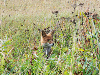 Similar image 21967225