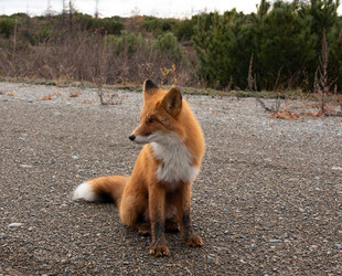 Similar image 21967228