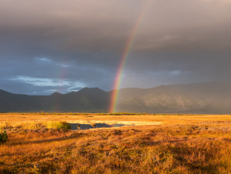 Similar image 21967231