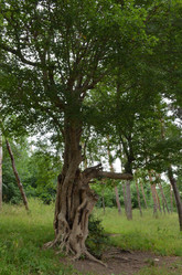 Similar image 21970123