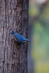 Similar image 21967236