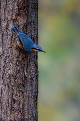 Similar image 21967237