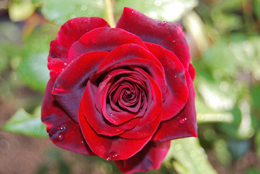 Similar image 21967413