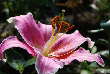 Similar image 21967414