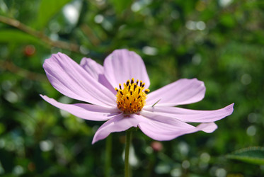 Similar image 21967415