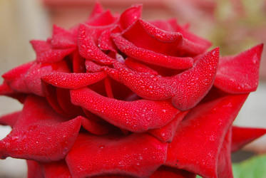 Similar image 21967416