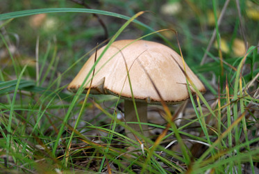 Similar image 21967418