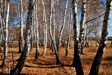 Similar image 21967419