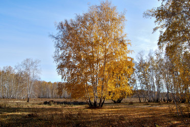 Similar image 21967420