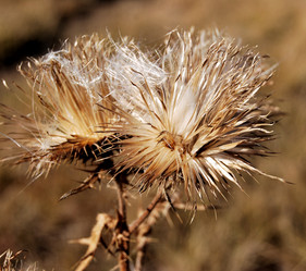 Similar image 21967421