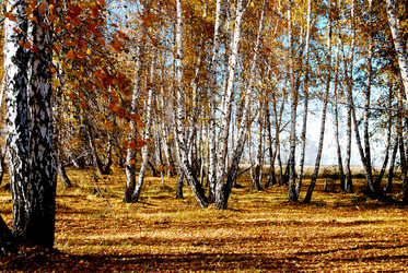 Similar image 21967422