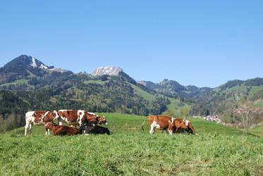 Similar image 21967437