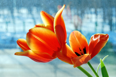 Similar image 21967445