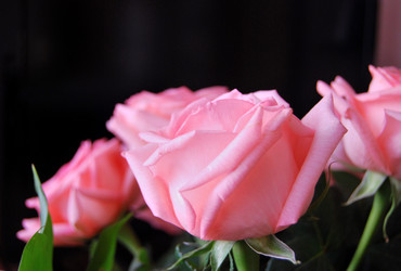 Similar image 21967448