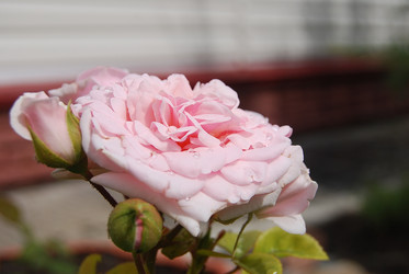 Similar image 21967449