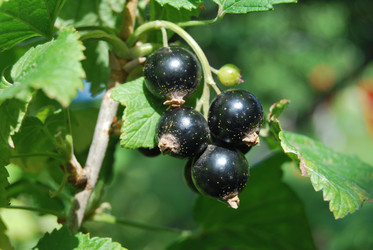 Similar image 21967450