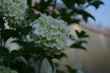 Similar image 21967239