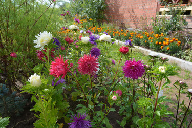 Similar image 21967240