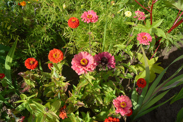 Similar image 21967242