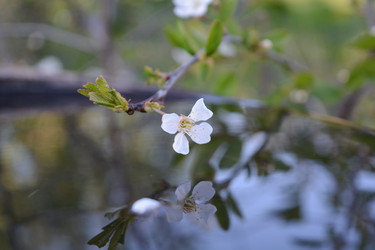 Similar image 21967243