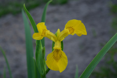 Similar image 21967244