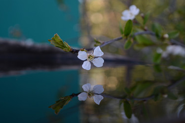 Similar image 21967245