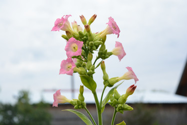 Similar image 21967246