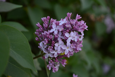 Similar image 21967247