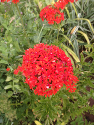 Similar image 21967248