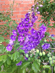 Similar image 21967249