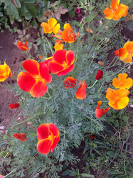 Similar image 21967251